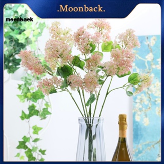 &lt;moonback&gt; ดอกไม้จําลอง ป้องกันการซีดจาง สําหรับถ่ายภาพตอนเย็น DIY