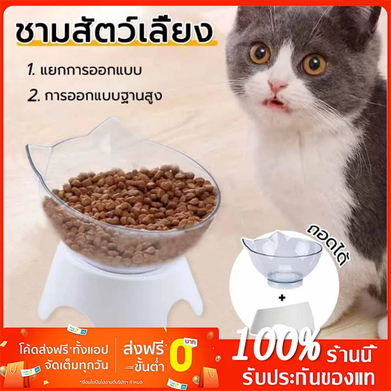 ชามข้าวแมว สัตว์เลี้ยง ที่ใส่อาหารสัตว์เลี้ยง Bowls & Feeders