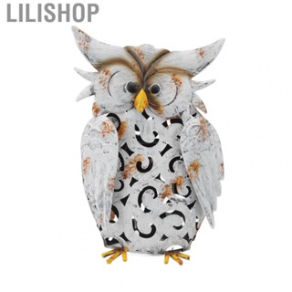 Lilishop Solar Light Owl Shape  Decorative Light For Garden Lawns Patios