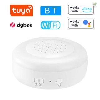 เกตเวย์สัญญาณเตือน อเนกประสงค์ 2.4G WIFI Zigbee 3.0 BLE และ Beacon Sub-devices รองรับ Google Home ควบคุมด้วยเสียง