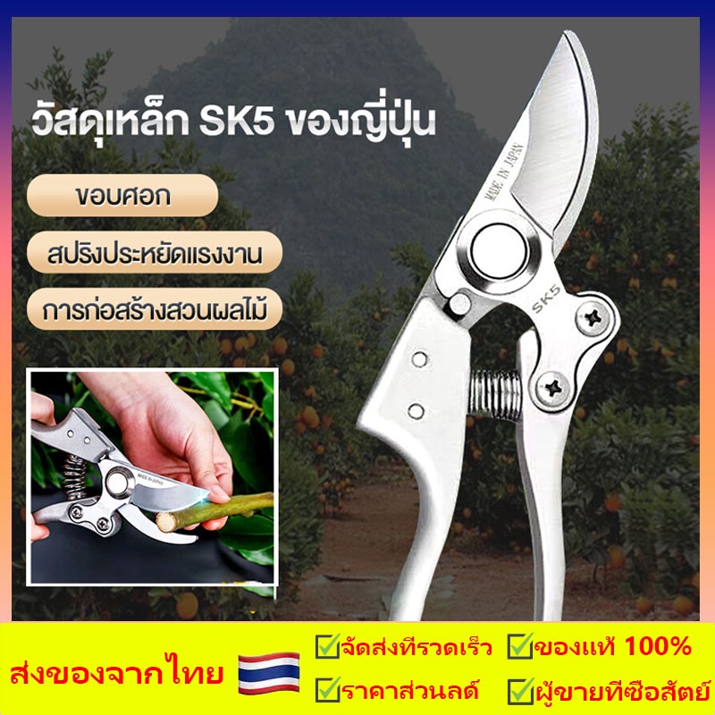 กรรไกรตัดกิ่งไม้ กรรไกรตัดหญ้า แต่งสวน กรรไกรตัดกิ่ง ตัดแต่งกิ่งบอนไซ ตัดแต่งกิ่ง กรรไกรทำสวน กรรไกรตัดแต่งกิ่งสแตนเลส