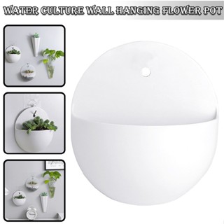 Wall Hanging Planters for Indoor Plants Hanging Flower Pots for Succulent Plants