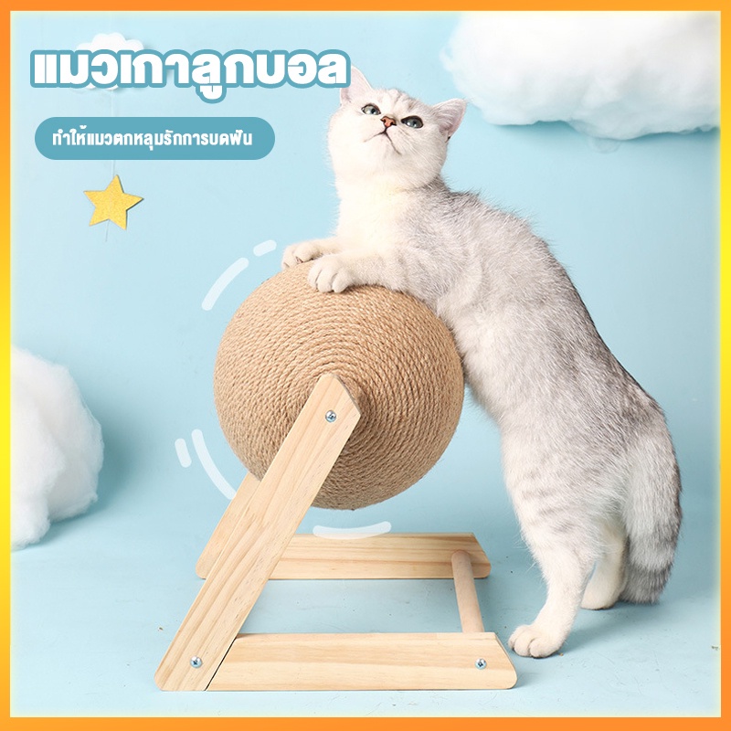 พร้อมส่ง ที่ลับเล็บแมว ที่ฝนเล็บแมว ของเล่นแมว บอลฝนเล็บแมว ที่ฝนเล็บแมวลูกบอล ลูกบอล ของแมว รางบอลแมว บ้านแมว ที่นอนแมว ราคา ถูกที่สุด ดีลบีเคเค