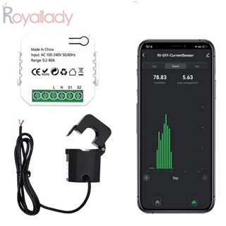 #ROYALLADY#Electricity เครื่องวัดพลังงานไฟฟ้า 0.2A-80A ปลอดภัย เรียบง่าย