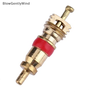 Blowgentlywind แกนวาล์ว 5 ชิ้น สําหรับซ่อมแซมยางรถยนต์ จักรยาน BGW