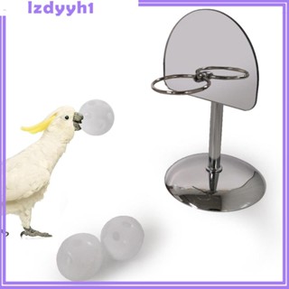 [JoyDIY] ของเล่นนกแก้ว บาสเก็ตบอล ห่วงบาสเก็ตบอล Finch Quaker Macaw ของเล่นฝึกนก