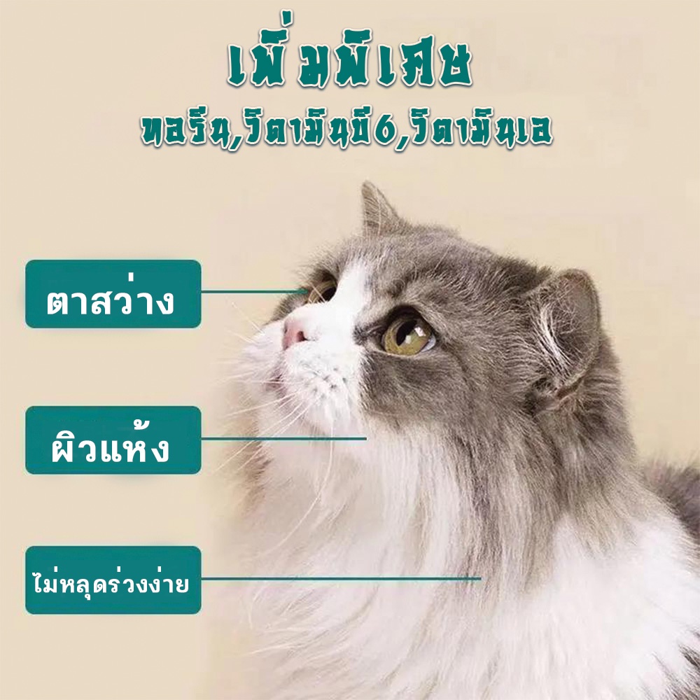 [10ซอง] ขนมเเมวเลีย 15g มีให้เลือก5รส cat snack stick 15g อาหารแมว cat ขนมแมวเลีย แมวเลีย อาหารแมวเลีย ขนมแมวเลีย - รูปที่ 5