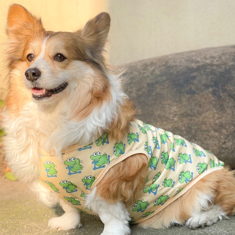 รูปภาพ 8