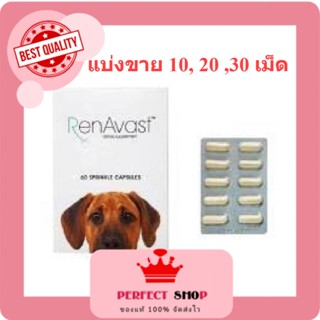 Renavast for Dog แบบแบ่งขาย อาหารเสริมโปรตีน บำรุงไต exp8/2024