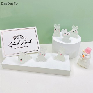 Daydayto กระต่ายเรซิ่น เรืองแสง DIY สําหรับตกแต่งเครื่องประดับ 5 ชิ้น