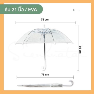 ร่มใสสไตล์ญี่ปุ่น 21นิ้ว ร่มกันฝน พร็อพสำหรับถ่ายภาพ ร่มตกแต่งร้านค้า ร่มแฟชั่น ร่มใส่มินิมอล สินค้าพร้อมส่ง ร่ม