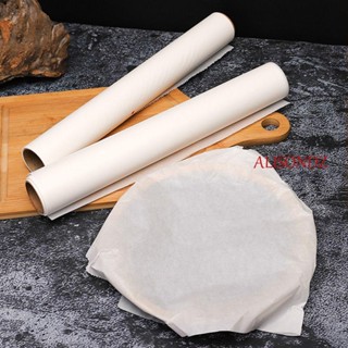 ALISONDZ Heat Resistant Baking Paper Pastry Baking Mat Oil paper Cookie BBQ Pad Grill Oven Non-stick Sheet