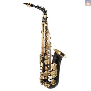 พร้อมส่ง ammoon Eb อัลโตแซกโซโฟน ทองเหลือง เคลือบสีทอง E Flat Sax 82Z Key Type Woodwind Instrument พร้อมแปรงทําความสะอาด ถุงมือผ้า สายคล้อง