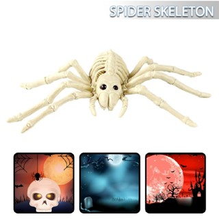 Halloween Spider Skeleton Party Decor Realistic Plastic Spider Animal Bone Model