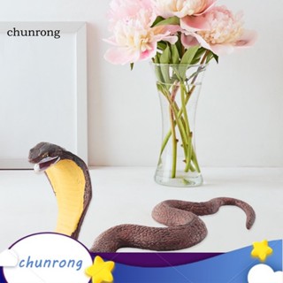 Chunrong โมเดลฟิกเกอร์ รูปงูสั่นสะเทือน สําหรับตกแต่งบ้าน