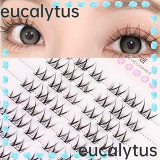 Eucalytus1 ขนตาปลอม รูปตัว V ธรรมชาติ แฮนด์เมด สําหรับผู้หญิง