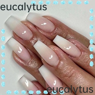 Eucalytus1 เล็บปลอม แบบเต็มรูปแบบ สําหรับตกแต่งเล็บ 24 ชิ้น