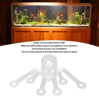 Your Pet Store Aquarium Coral Rack 6 หลุม 180 องศา Claw Fan Shaped อะคริลิคใสตู้ปลา Frag Holder