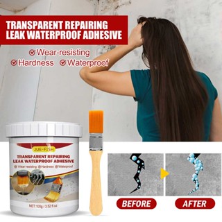  Jue-Fish transparent leak sealing waterproof adhesive waterproof coating (100g+brush)