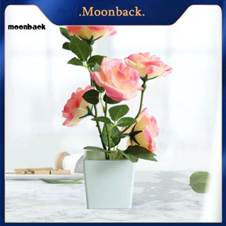 &lt;moonback&gt; บอนไซจําลอง ไม่จางหาย สําหรับสํานักงาน งานแต่งงาน ปาร์ตี้ จําลอง กระถางต้นไม้ ภูมิทัศน์