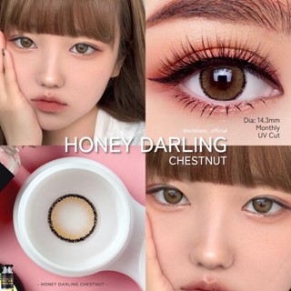 Honey Darling Winklens wink คอนแทคเลนส์ Contact lens 0.00