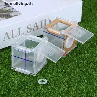 Home กล่องหลอดทดลองอะคริลิคใส 15 18 มม. สําหรับฟาร์มมด DIY