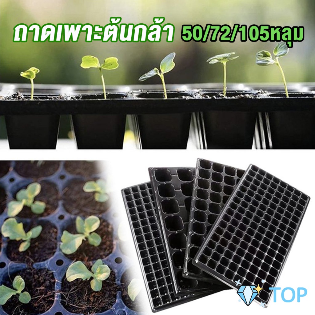 ถาดเพาะต้นกล้า/ชำ/เมล็ด ใช้ซ้ำได้ Seedling Tray