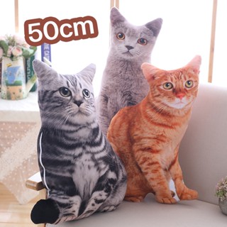 พร้อมส่ง✅😻ของเล่นสัตว์เลี้ยง 50cm ของเล่นแมว น่ารักนุ่มนิ่ม