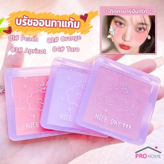 Prohome บลัชออน บลัชออนโทนส้ม บรัชออนทาแก้ม เนื้อดี สีสวย ติดทน blush