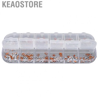 Keaostore 12 Grids Nail Art Metal  Manicure Metallic Art