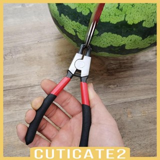 [Cuticate2] เครื่องมือเปิดแคนตาลูป ทุเรียน สําหรับห้องครัว ทําอาหาร ผลไม้ ร้านค้า