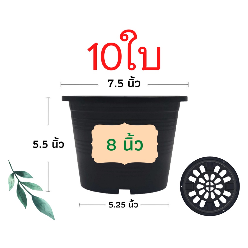 กระถางต้นไม้พลาสติก กระถางต้นไม้ กระถางแคคตัส สีดำ สีขาว 8 นิ้ว 10ใบ ราคาส่ง