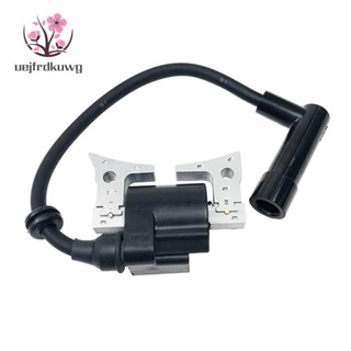  คอยล์แพ็ก แบบเปลี่ยน สําหรับเครื่องยนต์ Robin Subaru EX13 EX17 EX21 20A-79431-01 277-79431-01 277-79431-11