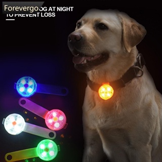 Forevergo ปลอกคอไฟกระพริบ LED ชาร์จ USB กันน้ํา ป้องกันการสูญหาย สําหรับสัตว์เลี้ยง สุนัข แมว P6S6