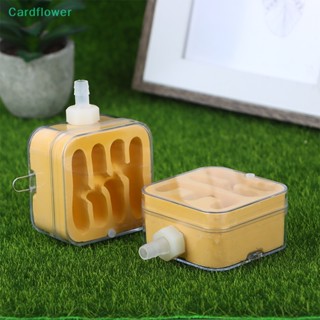 &lt;Cardflower&gt; ปูนปลาสเตอร์ ขนาดเล็ก เพื่อการเรียนรู้วิทยาศาสตร์ สําหรับเด็ก HE Type On Sale DIY