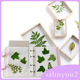 [szlinyou2] สมุดกดดอกไม้ 6 ชั้น ขนาด 20x23 ซม. สําหรับงานฝีมือ DIY