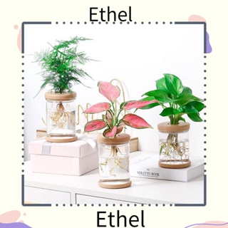 Ethel1 แจกันดอกไม้ไฮโดรโปนิก สไตล์เรียบง่าย สําหรับประดับโต๊ะ ออฟฟิศ