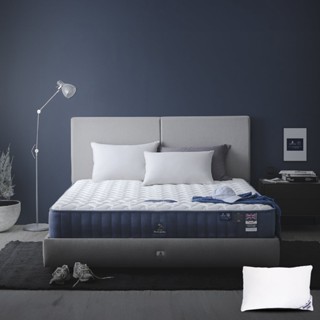 SB Design Square ที่นอน Dunlopillo รุ่น Dream Power ขนาด 3.5 ฟุต แถมฟรีหมอนหนุน 1 ใบ (106 x 198 x 30.48 ซม.)