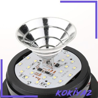 [Kokiya2] ไฟสัญญาณเตือนฉุกเฉิน LED 12V สีส้ม