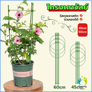 Comfy โครงเถาวัลย์ เสามะเขือเทศ โครงปลูก อุปกรณ์สำหรับพืชไม้เลื้อย 45cm 60cm plant trellis