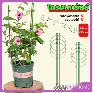 SMART โครงเถาวัลย์ เสามะเขือเทศ โครงปลูก อุปกรณ์สำหรับพืชไม้เลื้อย 45cm 60cm plant trellis