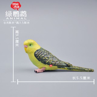 [ลดราคา] โมเดลสัตว์ Budgeria (สีเขียว)