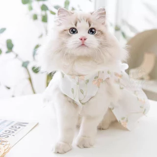 🇹🇭พร้อมส่ง🇹🇭 ⚪🌾🥀 เดรสขาวสไตล์คุณหนู สุดหรู สุดน่ารัก งานแบรนด์ for pet เสื้อสุนัข ชุดหมา ชุดแมว
