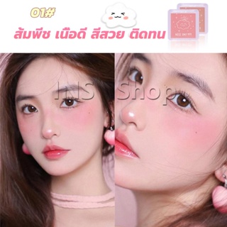 INS บลัชออน บลัชออนโทนส้ม บรัชออนทาแก้ม เนื้อดี สีสวย ติดทน blush