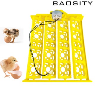 [Baosity] ถาดฟักไข่ อุปกรณ์เสริม สําหรับไก่ นกกระทา