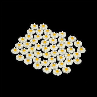 [CrownFamily] เครื่องประดับเรซิ่น รูปดอกเดซี่ สีขาว 50 ชิ้น
 [TH]