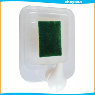 [Ehoyoxa] เครื่องจ่ายสบู่ และที่วางเครื่องขัด 1000 มล. สําหรับเคาน์เตอร์