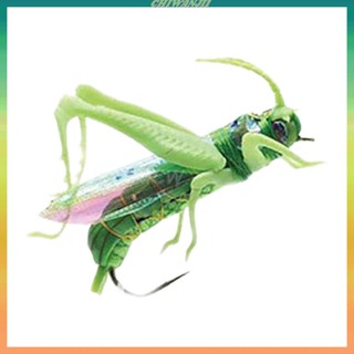 [Chiwanji1] บัวไบโอนิค ลายทาง สีขาว สําหรับปลาแมนดาริน