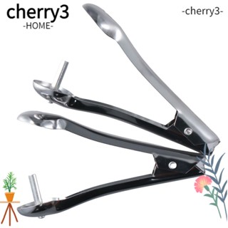 Cherry3 อุปกรณ์เจาะแกนเชอร์รี่ มะกอก สเตนเลส อเนกประสงค์ ประหยัดแรงงาน แบบพกพา สีเงิน 2 ชิ้น