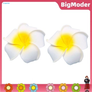 &lt;COD&gt; กิ๊บติดผมโฟม ลายดอกไม้ สีขาว สไตล์ฮาวาย สําหรับเจ้าสาว งานแต่งงาน ปาร์ตี้ 2 ชิ้น